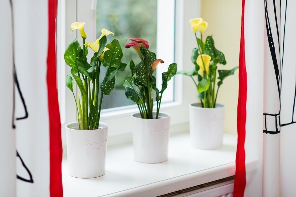 Style4Rent Sunny Old Town Apartments Krasków Δωμάτιο φωτογραφία